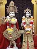 Bhagwan Shri Krishna and Shri Radhaji
